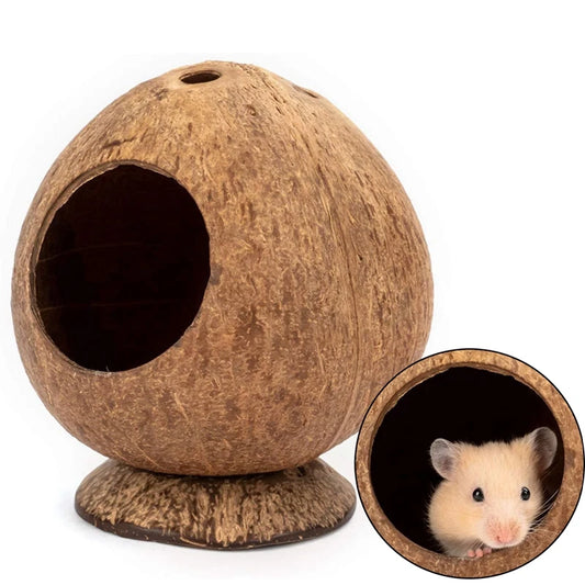 Coquille de noix de coco, maison de Hamster, résistant aux rayures