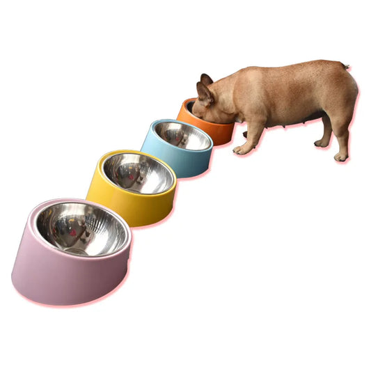 Mangeoire ou bols à boire pour chiens